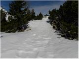 Kapelška koča / Eisenkappler Hütte - Kraguljše